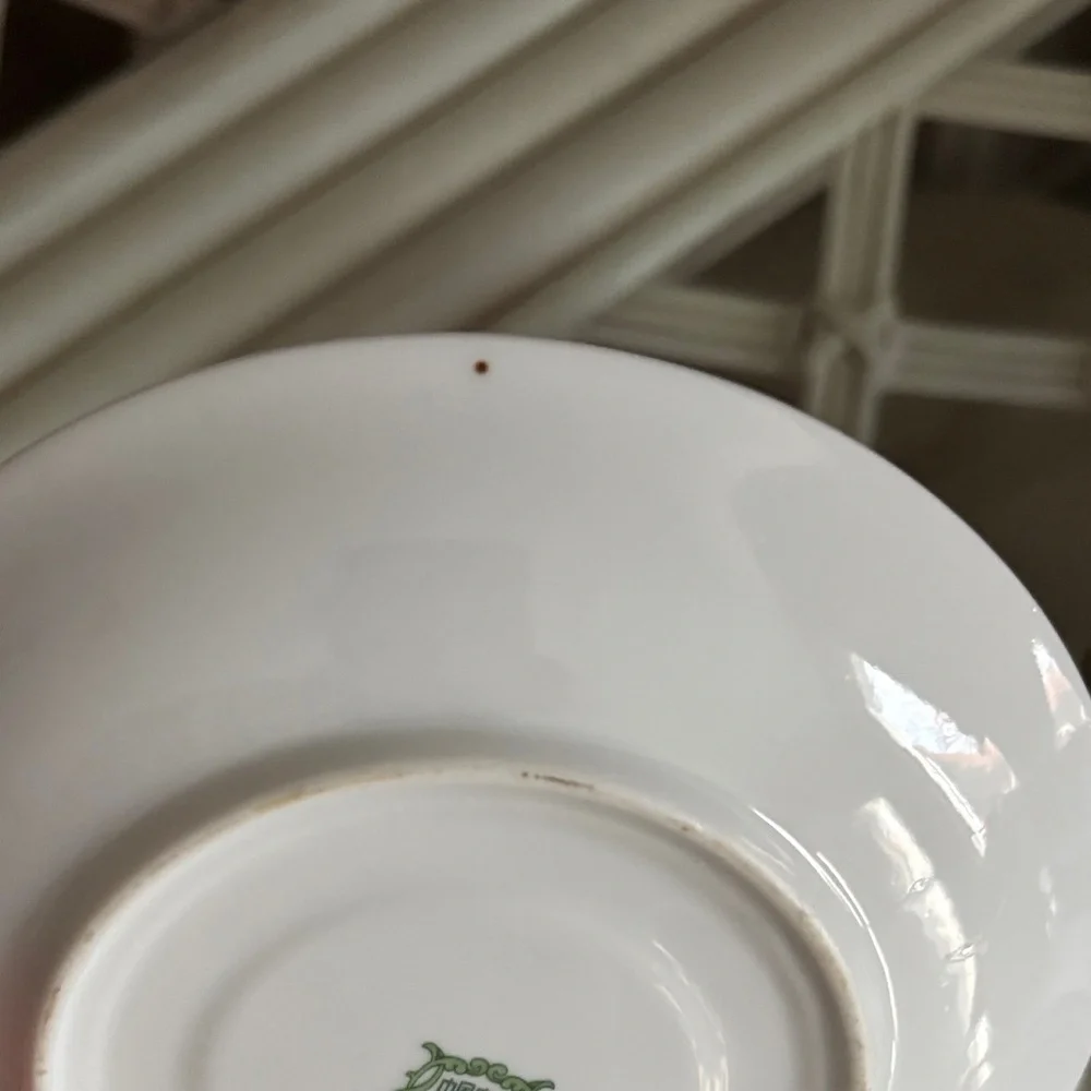 Vintage Tangshan Floral Teacup & Saucer Set